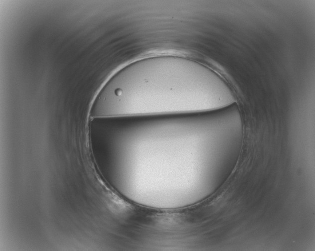 X0000062861236200601130939