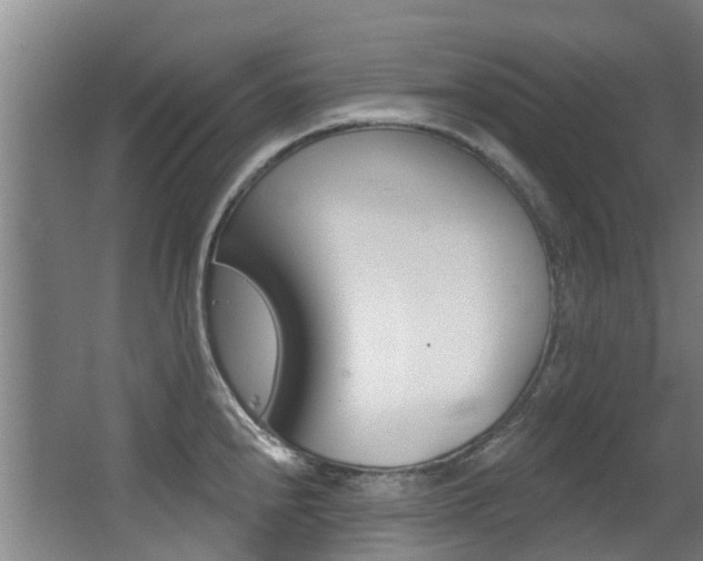 X0000062861240200601130939
