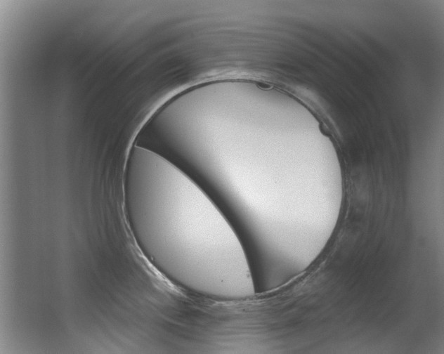 X0000062861244200601130939