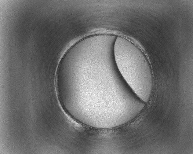 X0000062861247200601130939