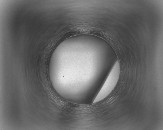X0000062861249200601130938