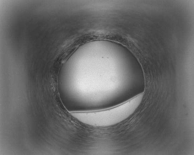 X0000062861253200601130938