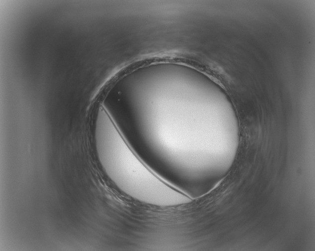 X0000062861256200601130938