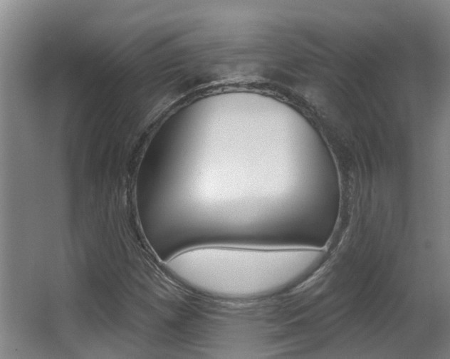 X0000062861257200601130938