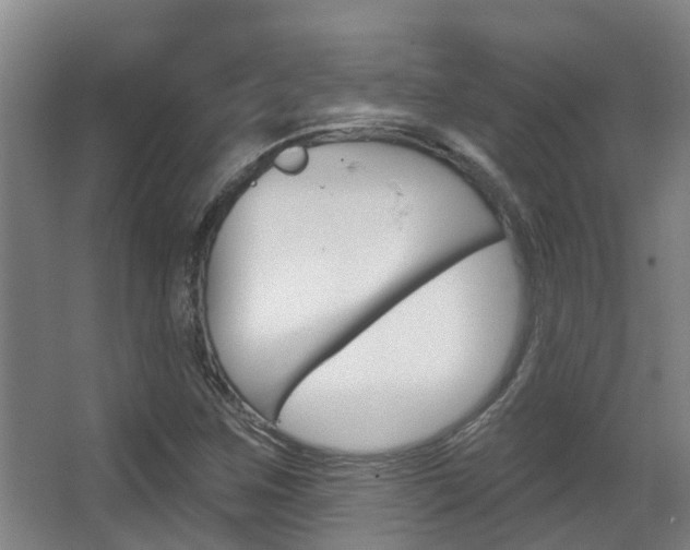 X0000062861259200601130938