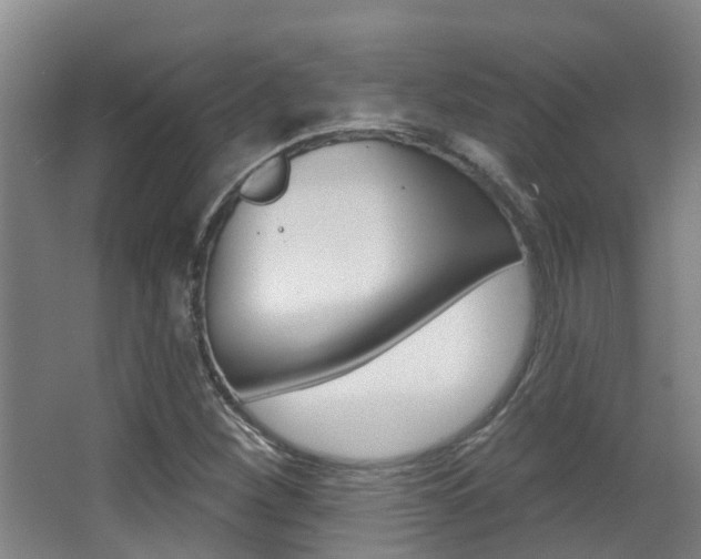 X0000062861260200601130938