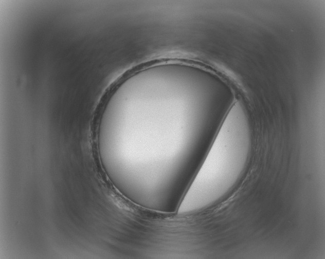 X0000062861264200601130938