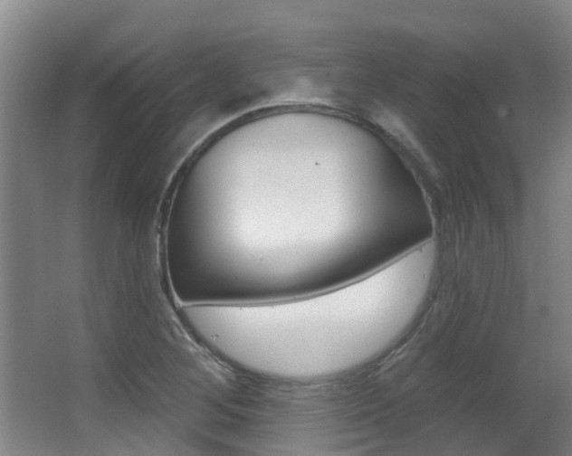 X0000062861268200601130938