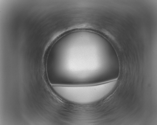 X0000062861270200601130938