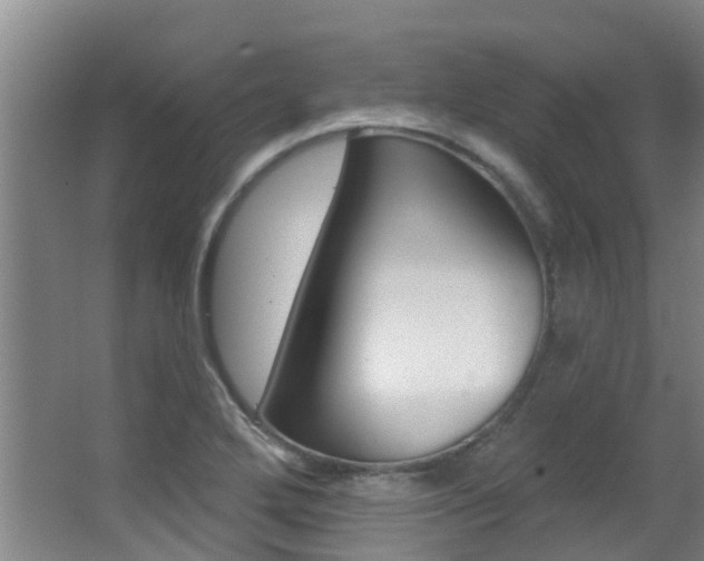 X0000062861272200601130938