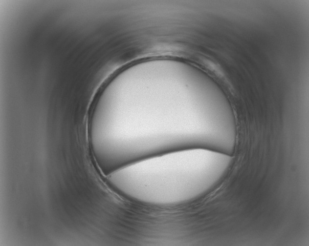 X0000062861275200601130938