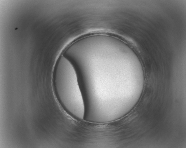 X0000062861279200601130938