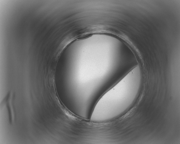 X0000062861289200601130938