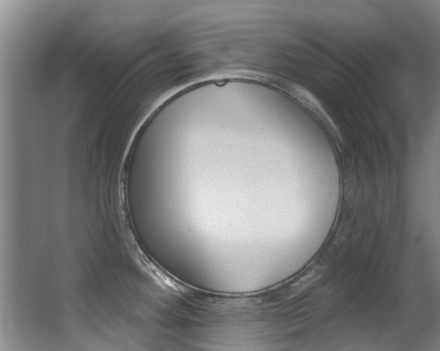 X0000062861292200601130938