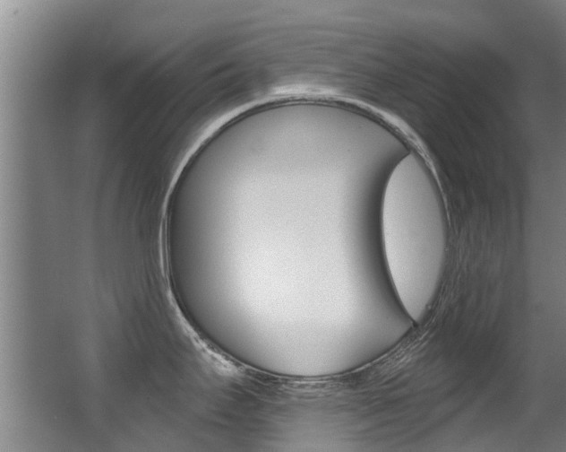 X0000062861295200601130938