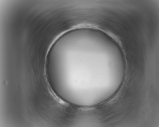 X0000062861296200601130938