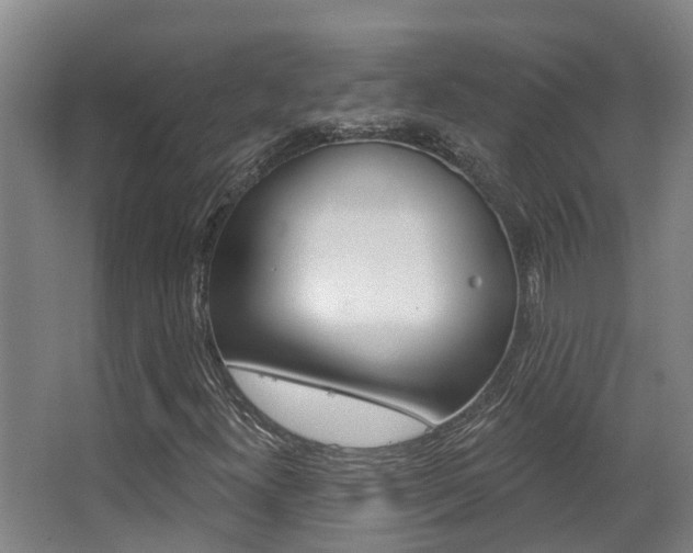 X0000062861300200601130937