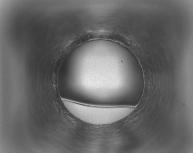 X0000062861301200601130937