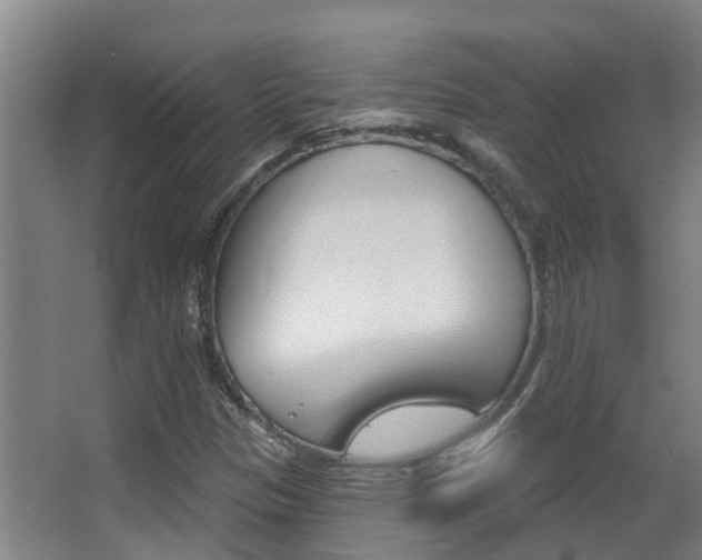 X0000062861305200601130937