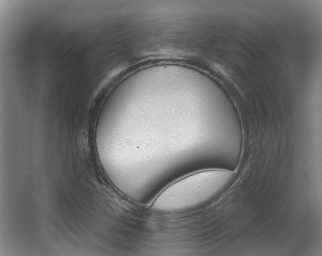 X0000062861307200601130937