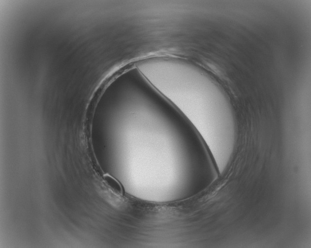 X0000062861308200601130937