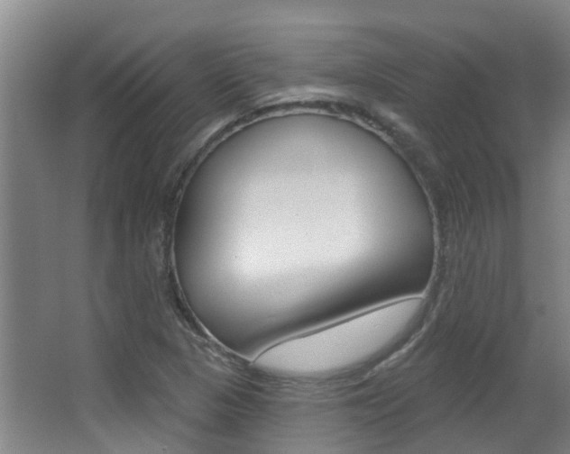 X0000062861313200601130937