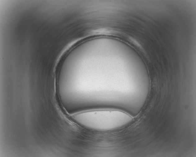 X0000062861323200601130937