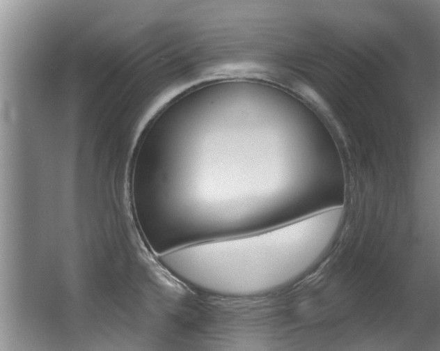 X0000062861336200601130937