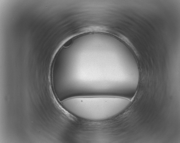 X0000062861339200601130937