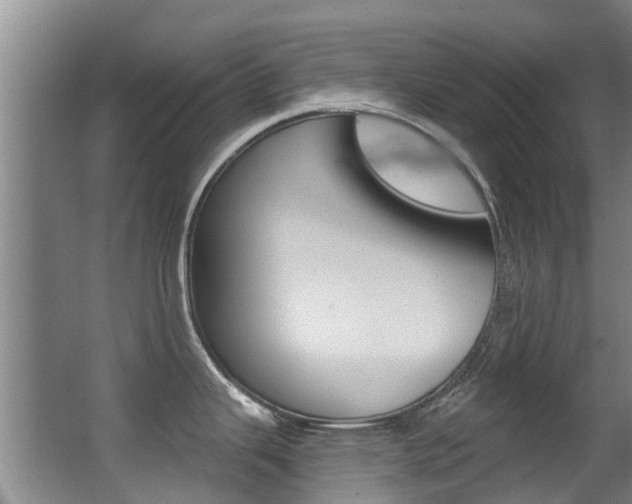 X0000062861343200601130937