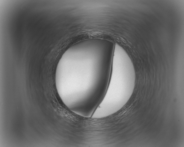 X0000062861345200601130937