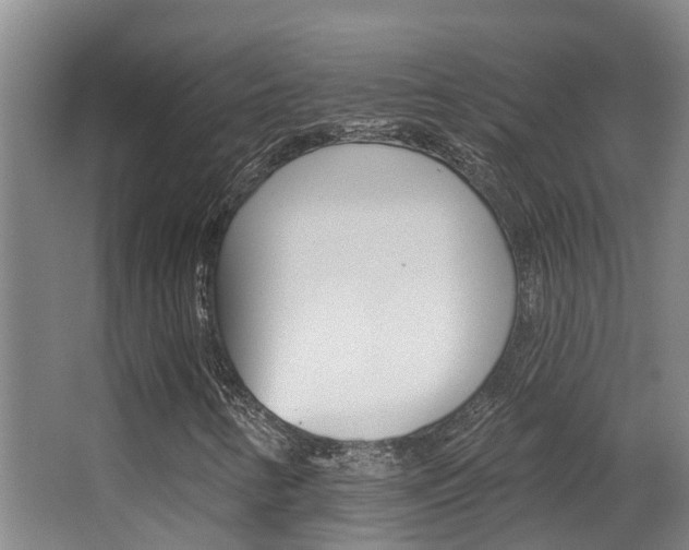X0000062861346200601130937