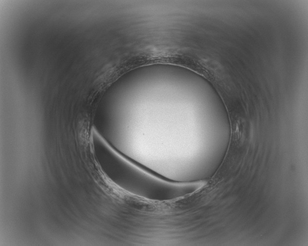 X0000062861348200601130937