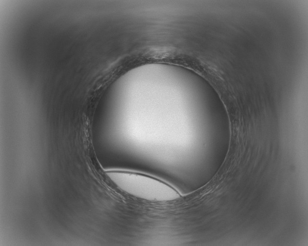 X0000062861349200601130937