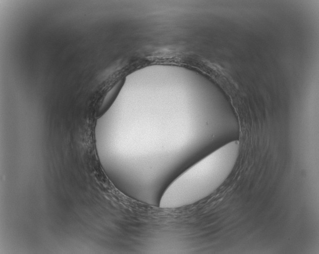 X0000062861350200601130937