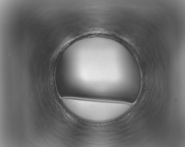 X0000062861359200601130936