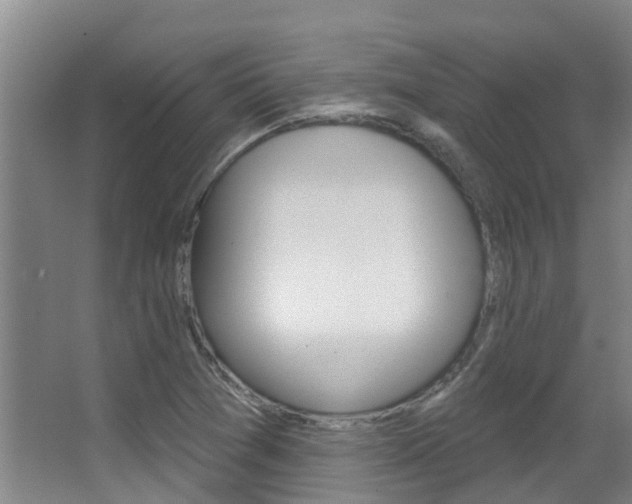 X0000062861361200601130936