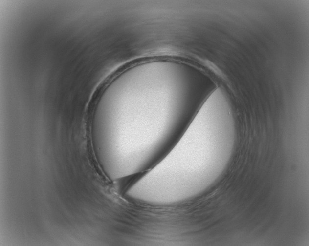 X0000062861364200601130936