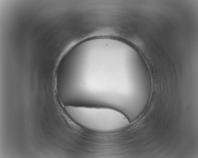 X0000062861366200601130936