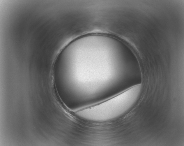 X0000062861367200601130936