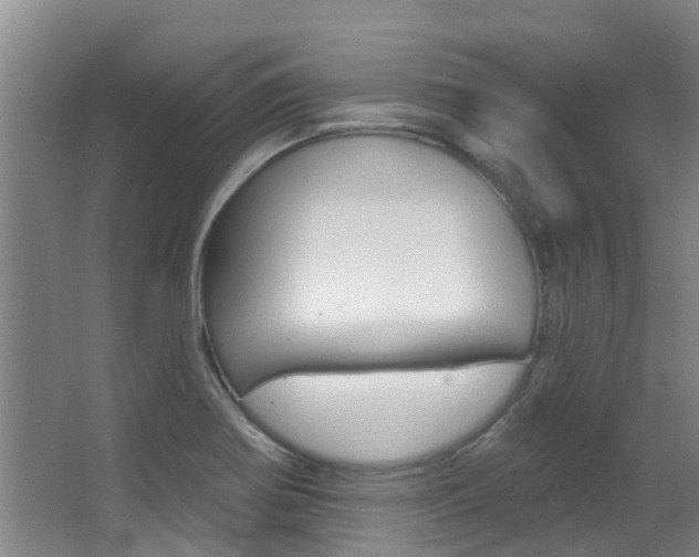 X0000062861370200601130936