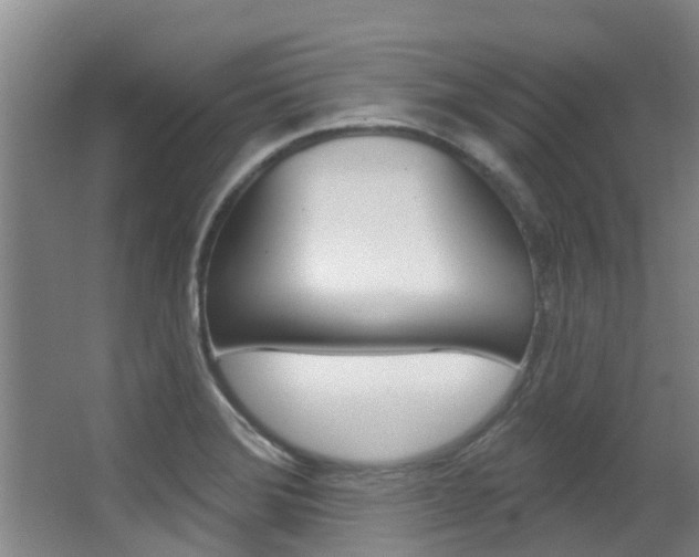 X0000062861372200601130936