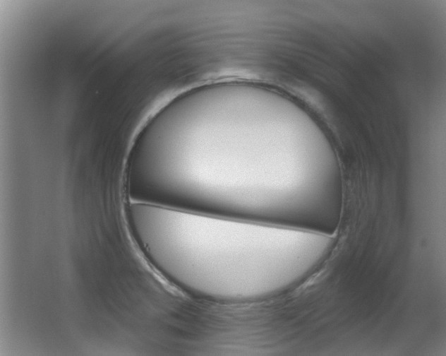 X0000062861373200601130936