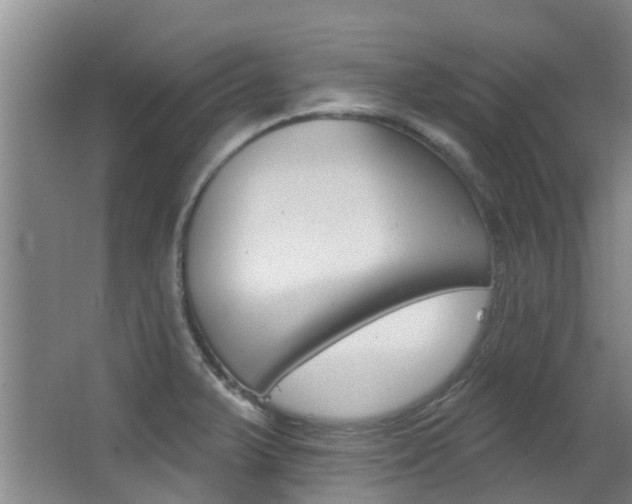 X0000062861375200601130936