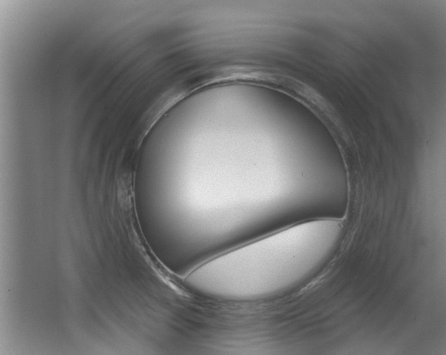 X0000062861377200601130936
