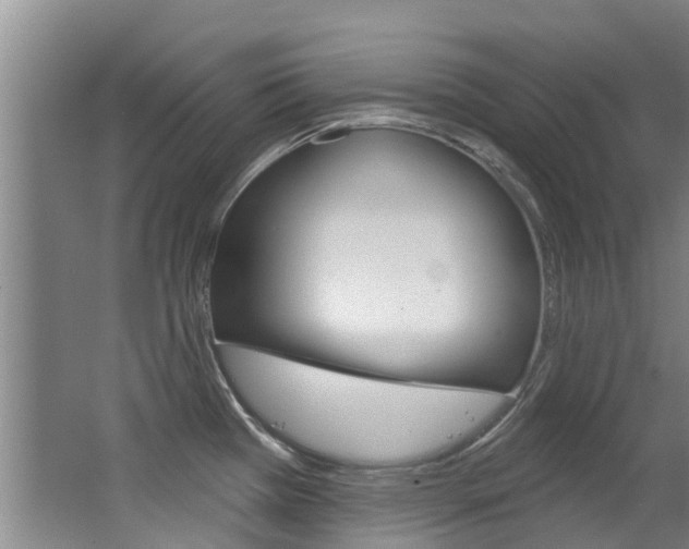 X0000062861385200601130936