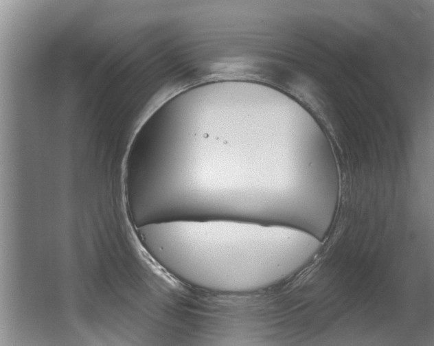 X0000062861386200601130936