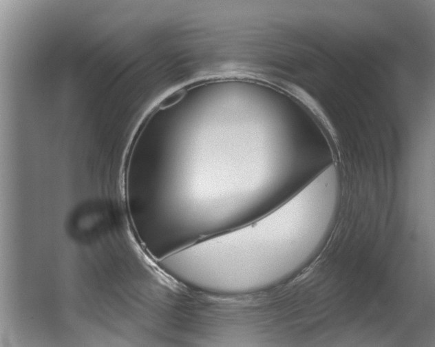 X0000062861388200601130936