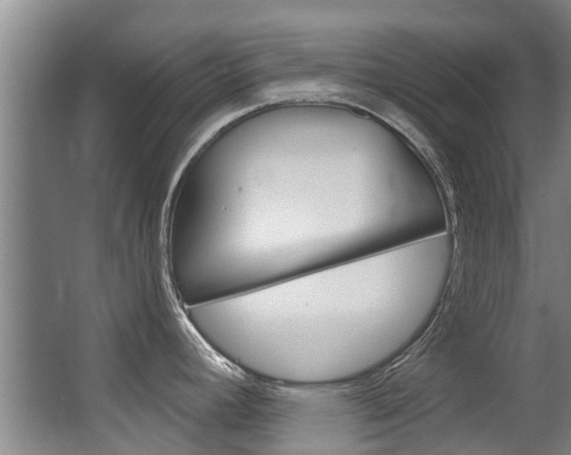 X0000062861392200601130936