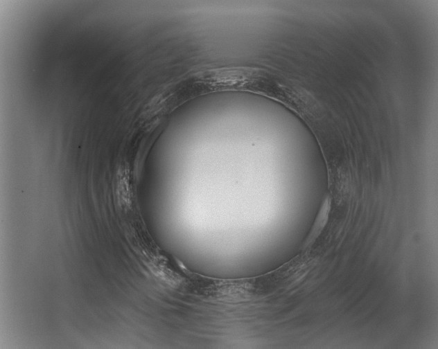 X0000062861394200601130935